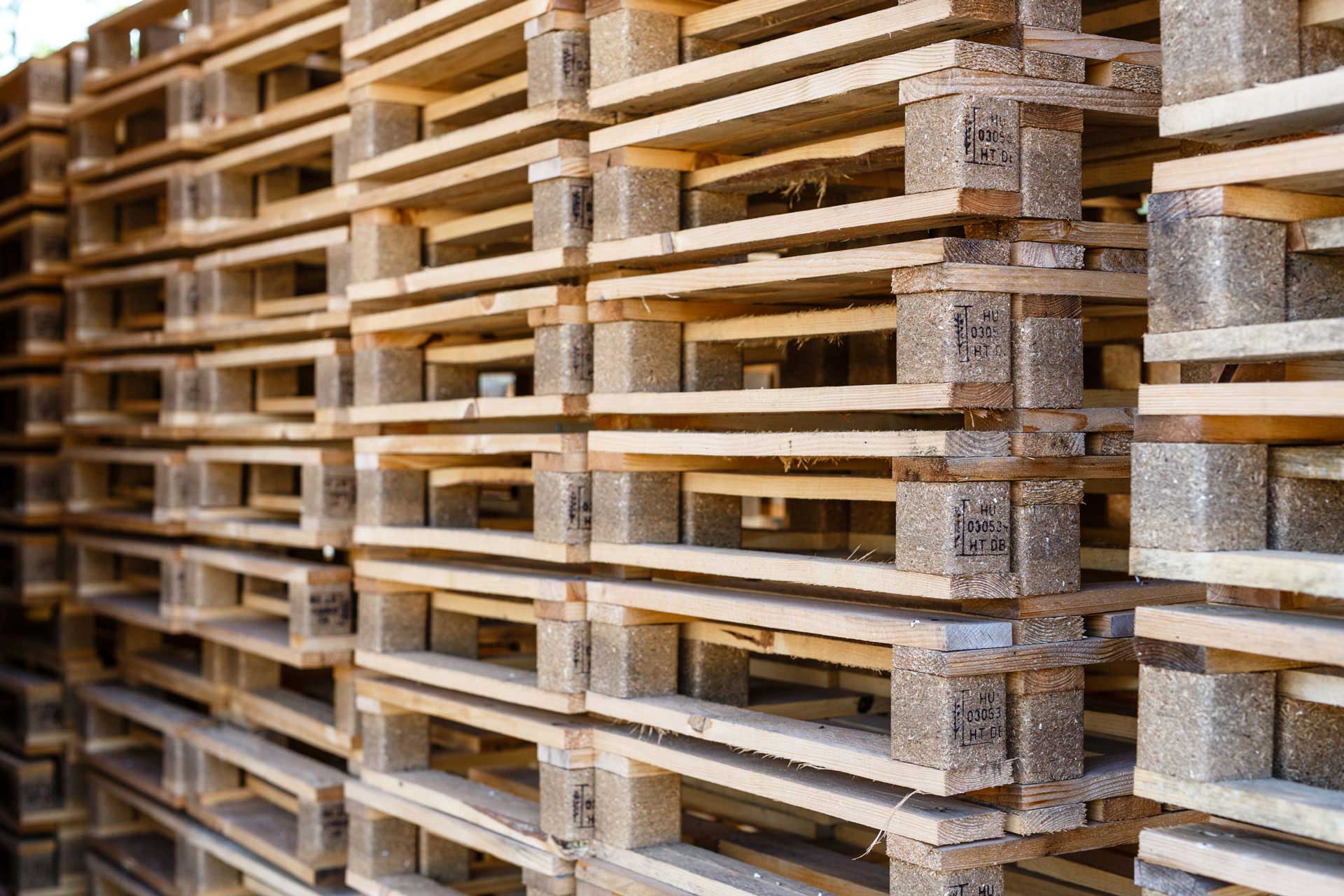Che tipo di legno si usa per i pallet?