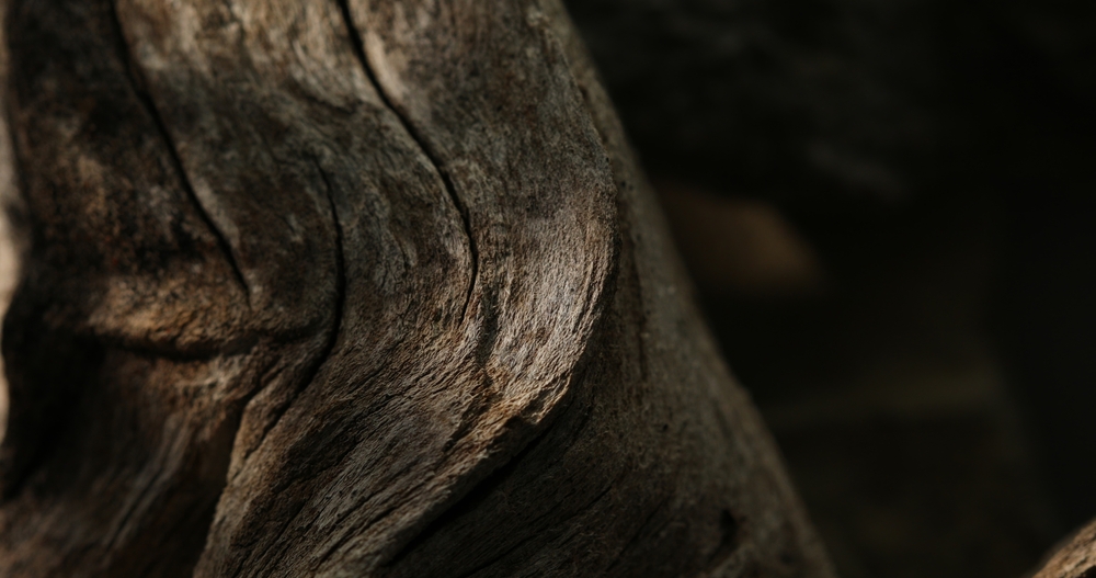 imballaggio in legno